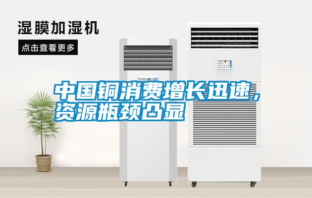 中國銅消費增長迅速，資源瓶頸凸顯