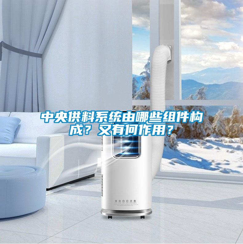 中央供料系統由哪些組件構成？又有何作用？