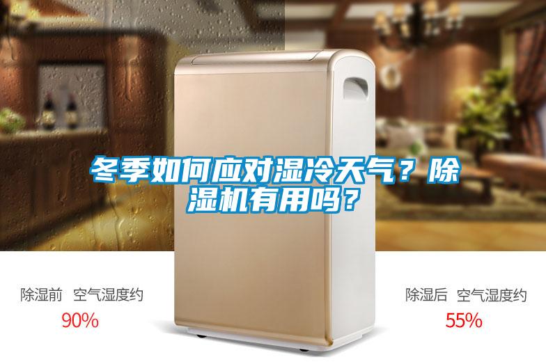 冬季如何應(yīng)對濕冷天氣？除濕機(jī)有用嗎？