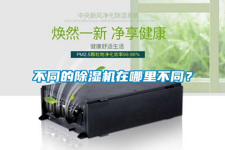 不同的除濕機在哪里不同？