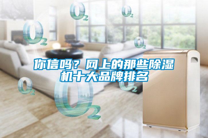 你信嗎？網上的那些除濕機十大品牌排名