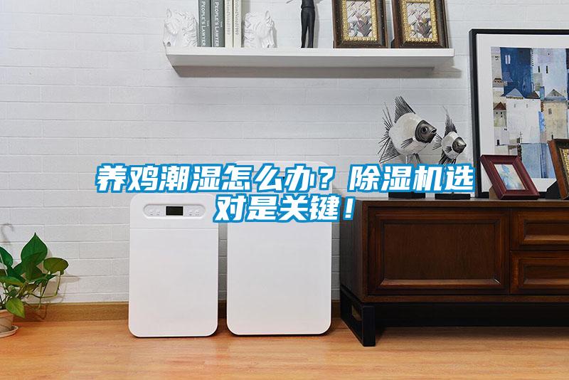 養(yǎng)雞潮濕怎么辦？除濕機(jī)選對(duì)是關(guān)鍵！