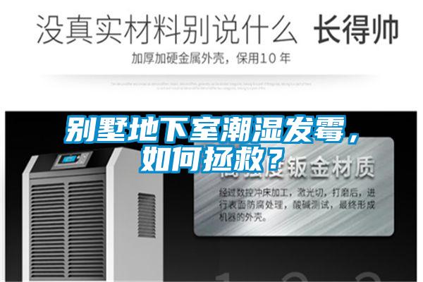 別墅地下室潮濕發(fā)霉，如何拯救？
