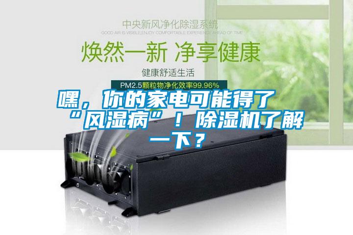 嘿，你的家電可能得了“風濕病”！除濕機了解一下？