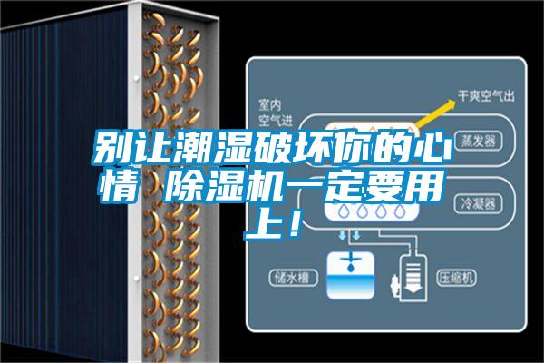 別讓潮濕破壞你的心情 除濕機一定要用上！