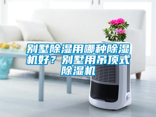 別墅除濕用哪種除濕機好？別墅用吊頂式除濕機