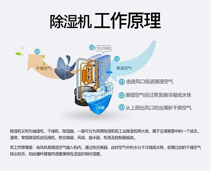 南有“濕冷”北有“霧霾”該咋辦？