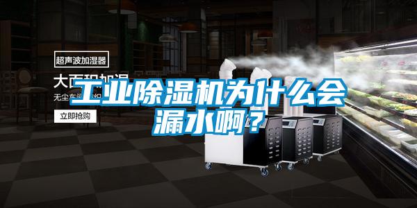 工業(yè)除濕機(jī)為什么會漏水啊？