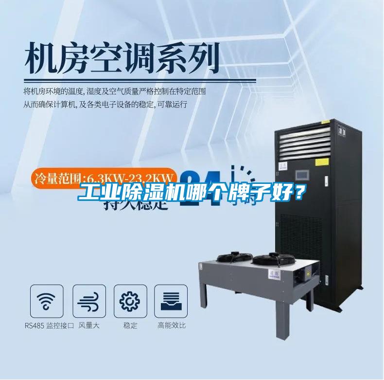 工業除濕機哪個牌子好？