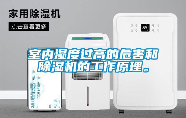 室內濕度過高的危害和除濕機的工作原理。
