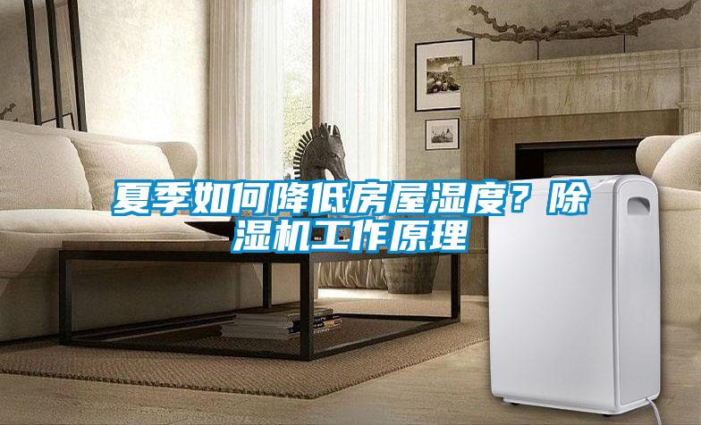 夏季如何降低房屋濕度？除濕機工作原理