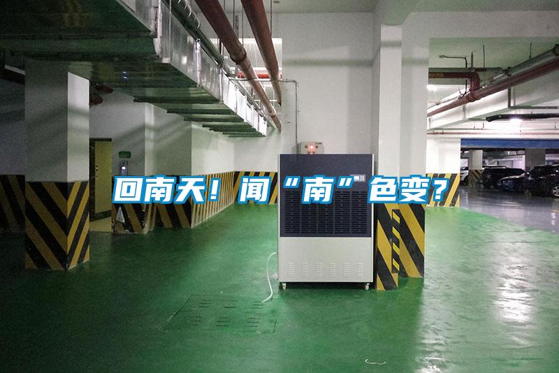 回南天！聞“南”色變？