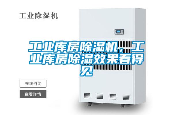 工業(yè)庫(kù)房除濕機(jī)，工業(yè)庫(kù)房除濕效果看得見