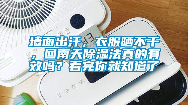 墻面出汗，衣服曬不干，回南天除濕法真的有效嗎？看完你就知道了