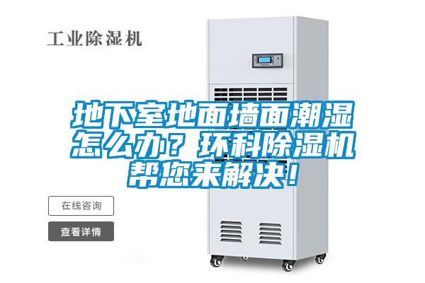 地下室地面墻面潮濕怎么辦？環科除濕機幫您來解決！