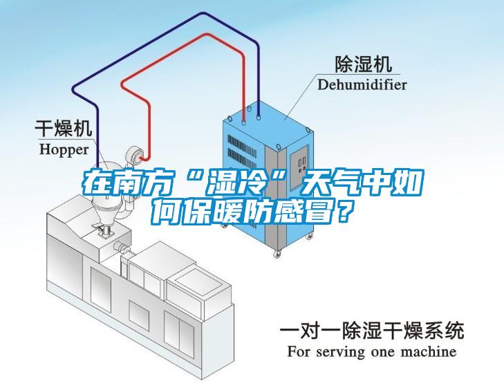 在南方“濕冷”天氣中如何保暖防感冒？