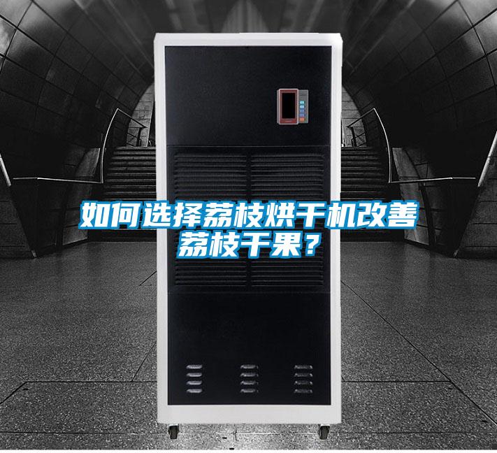 如何選擇荔枝烘干機改善荔枝干果？