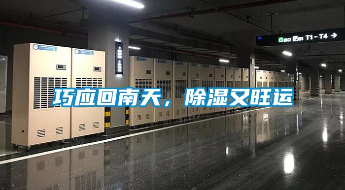 巧應回南天，除濕又旺運