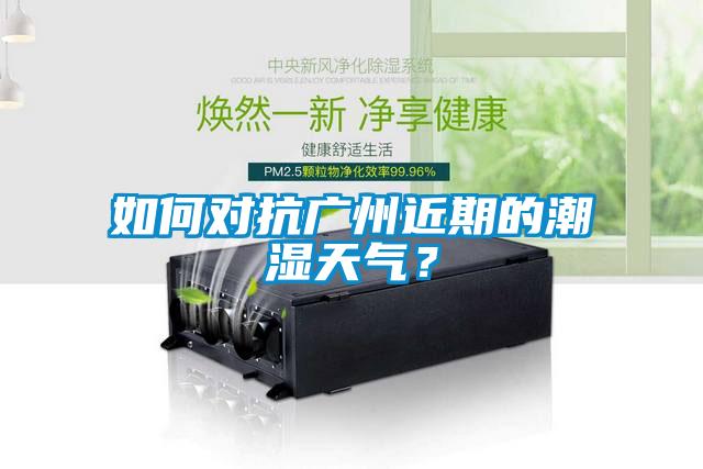 如何對抗廣州近期的潮濕天氣？
