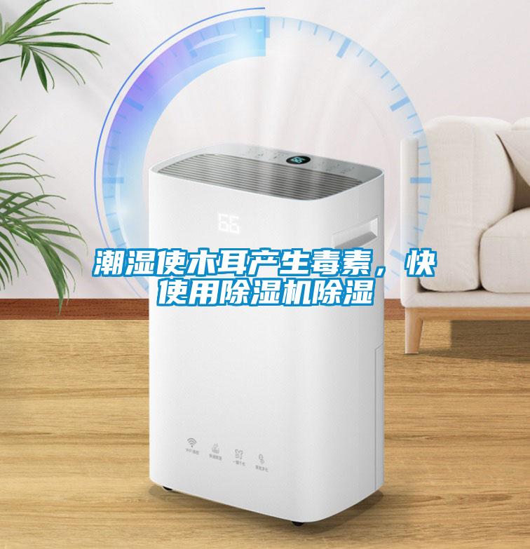 干嘛要挖空心思想怎么在回南天晾干衣服？直接除濕機干衣就行啦！