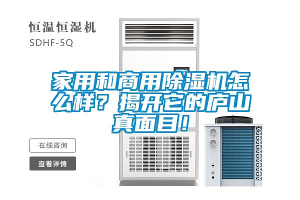 家用和商用除濕機怎么樣？揭開它的廬山真面目！