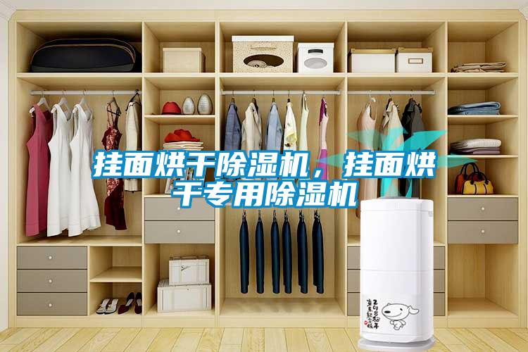 掛面烘干除濕機，掛面烘干專用除濕機