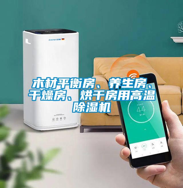 木材平衡房、養(yǎng)生房、干燥房、烘干房用高溫除濕機(jī)