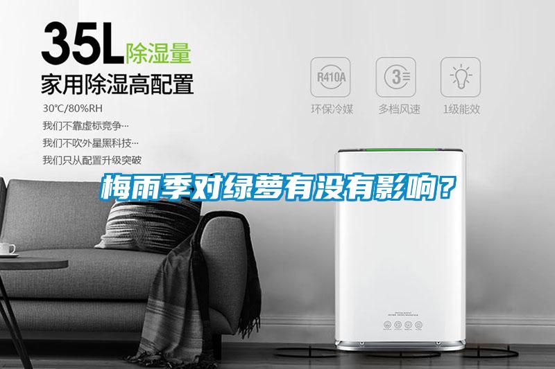 梅雨季對綠蘿有沒有影響？