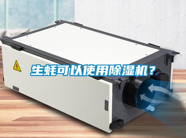 生蠔可以使用除濕機？