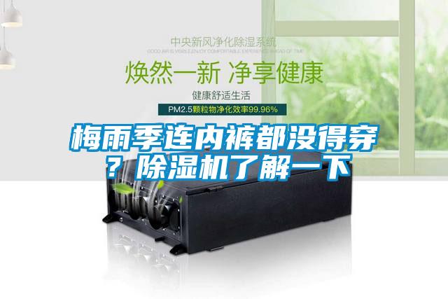梅雨季連內褲都沒得穿？除濕機了解一下