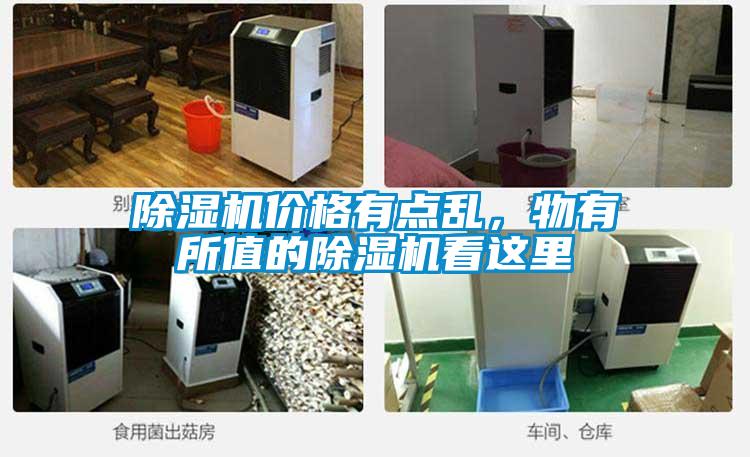 除濕機(jī)價(jià)格有點(diǎn)亂，物有所值的除濕機(jī)看這里