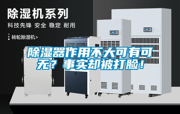 除濕器作用不大可有可無？事實(shí)卻被打臉！
