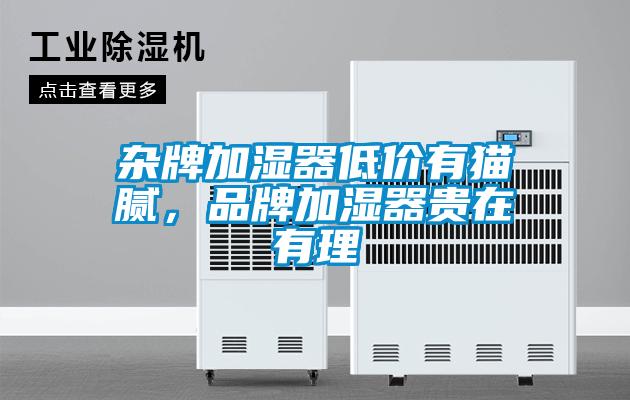雜牌加濕器低價有貓膩，品牌加濕器貴在有理