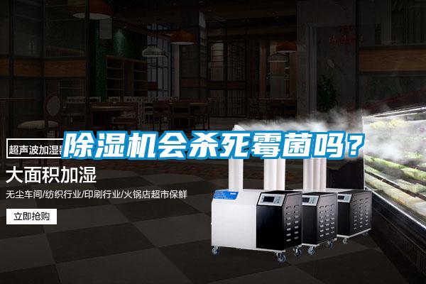 除濕機會殺死霉菌嗎？