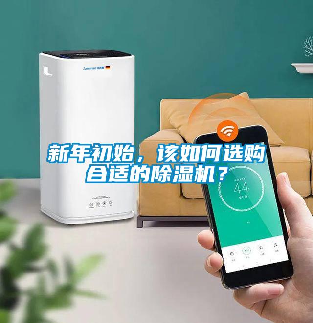 新年初始，該如何選購合適的除濕機？