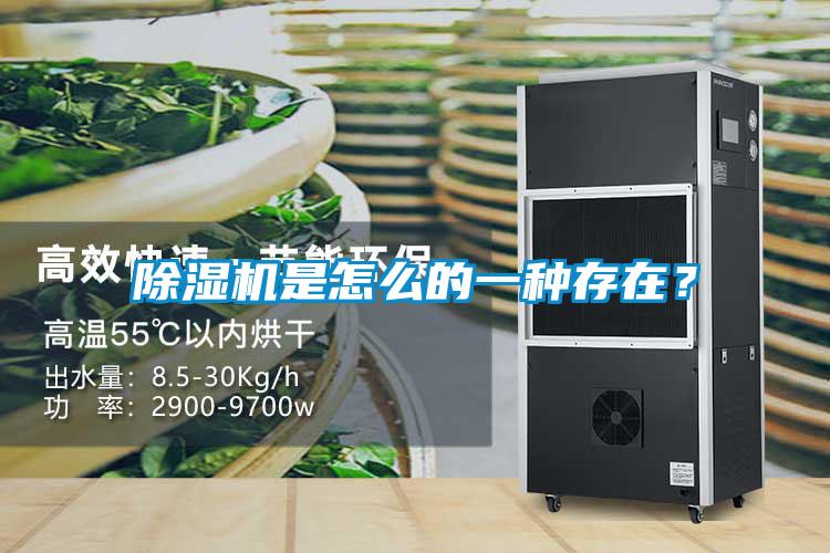 除濕機是怎么的一種存在？