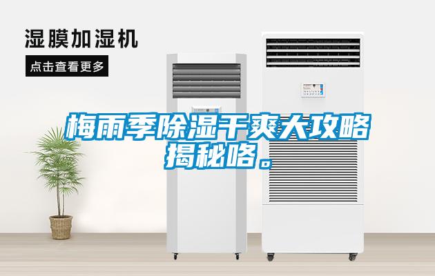 梅雨季除濕干爽大攻略揭秘咯。