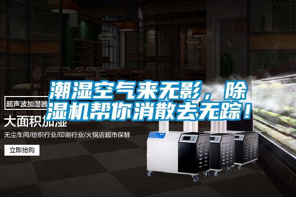 潮濕空氣來無影，除濕機幫你消散去無蹤！