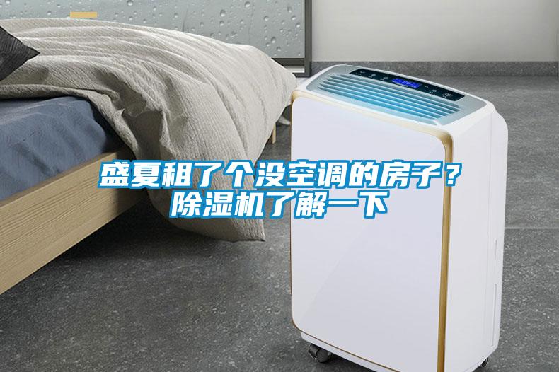 盛夏租了個沒空調的房子？除濕機了解一下