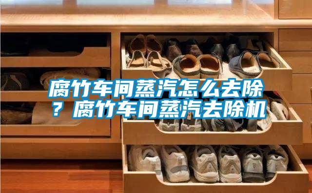 腐竹車間蒸汽怎么去除？腐竹車間蒸汽去除機