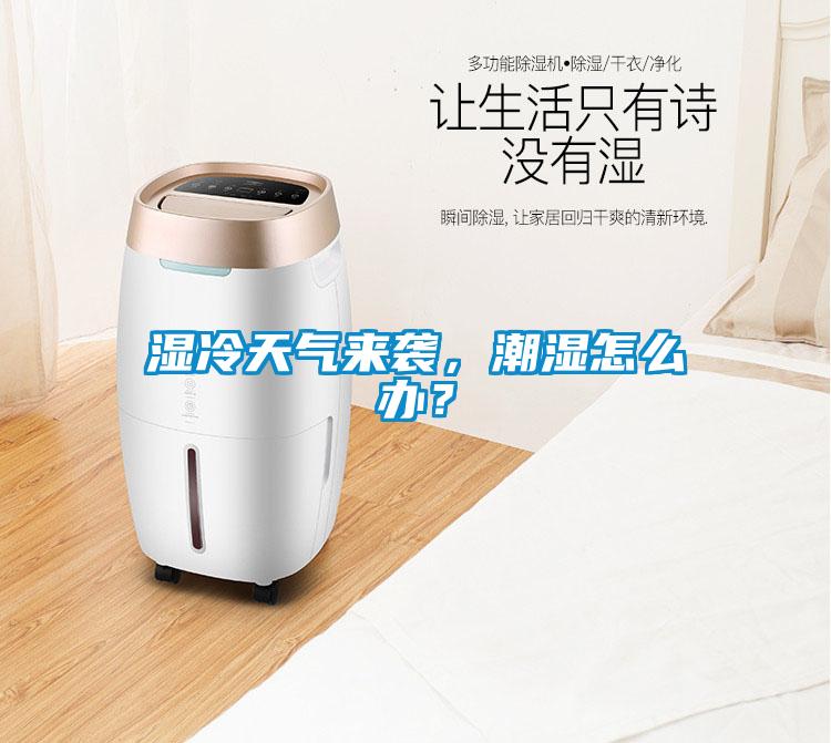 濕冷天氣來襲，潮濕怎么辦？