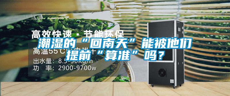 潮濕的“回南天”能被他們提前“算準(zhǔn)”嗎？