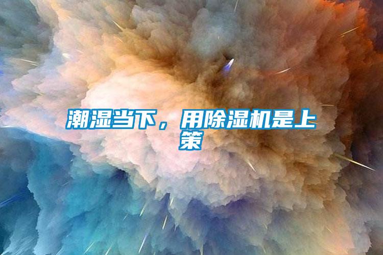潮濕當下，用除濕機是上策