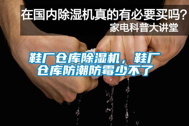 鞋廠倉庫除濕機(jī)，鞋廠倉庫防潮防霉少不了