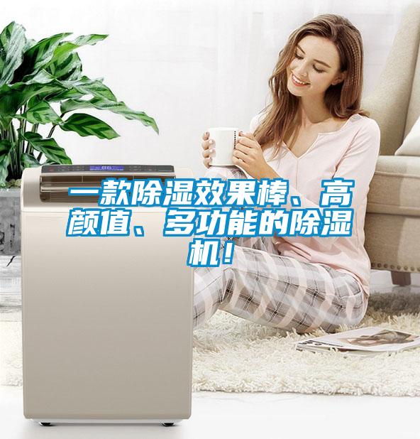 一款除濕效果棒、高顏值、多功能的除濕機！