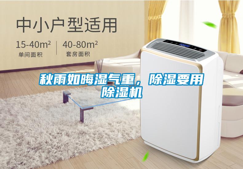 秋雨如晦濕氣重，除濕要用除濕機