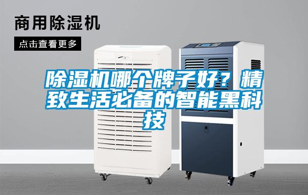 除濕機(jī)哪個(gè)牌子好？精致生活必備的智能黑科技