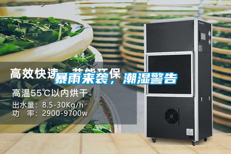 暴雨來(lái)襲,潮濕警告