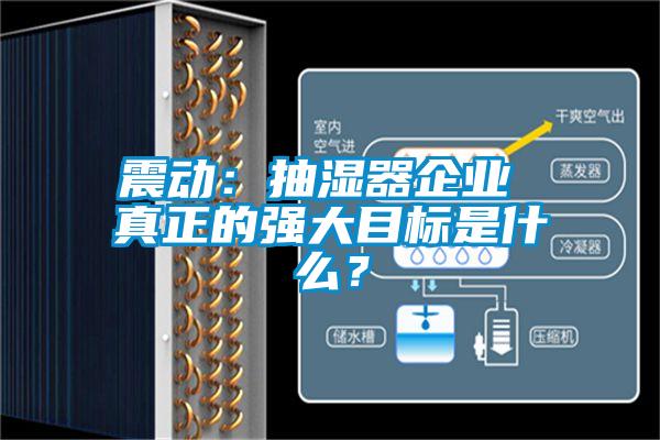 震動(dòng)：抽濕器企業(yè) 真正的強(qiáng)大目標(biāo)是什么？