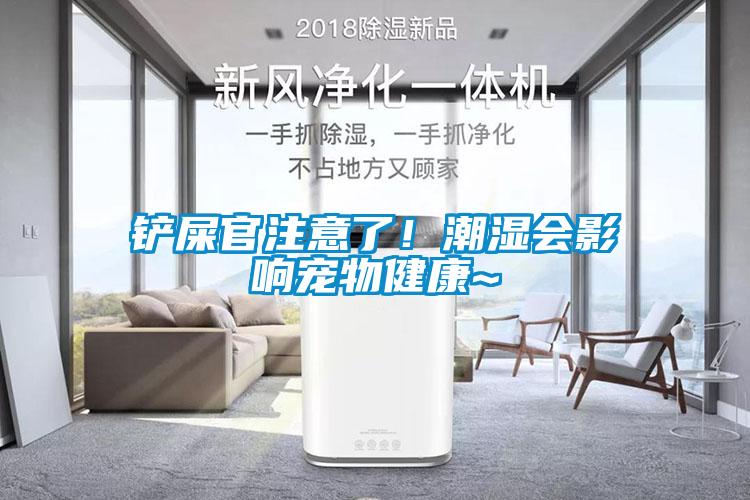 鏟屎官注意了！潮濕會(huì)影響寵物健康~